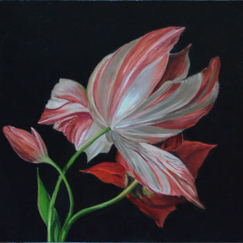Dutch flower
