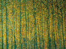 The Golden Forest