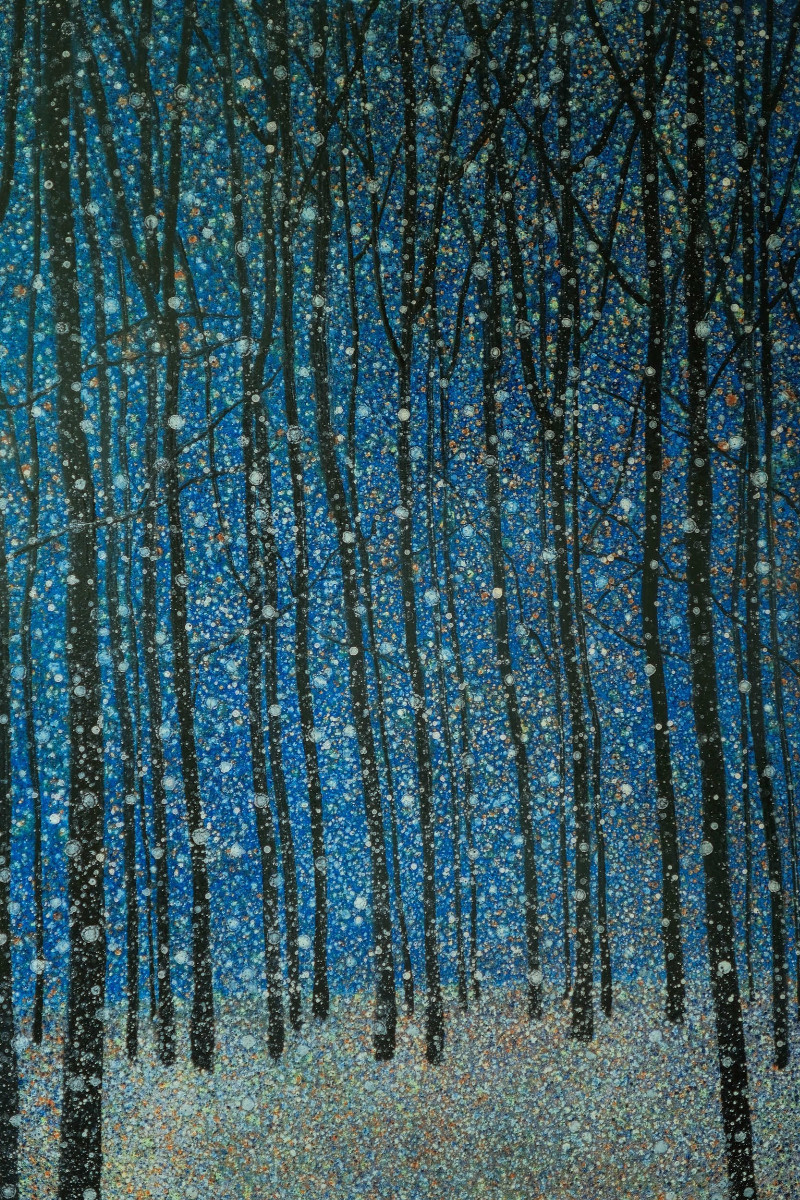 February Snow